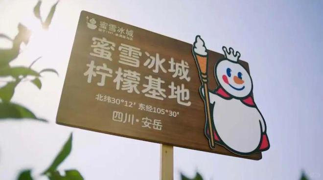 蜜雪冰城中的冰柠檬是怎么做的_蜜雪冰城柠檬品种_