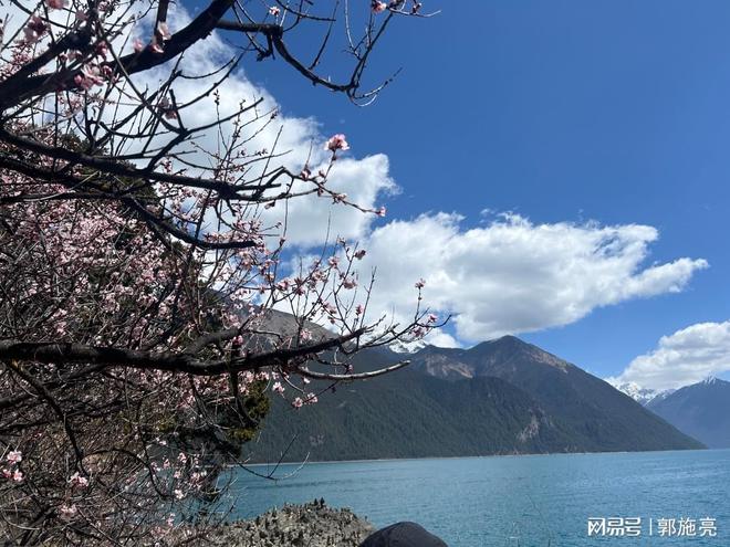存款搬家对银行的影响_居民存款大搬家_