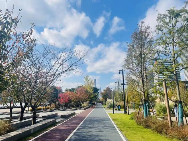 保利杨浦项目__杨浦保利地块在建了吗
