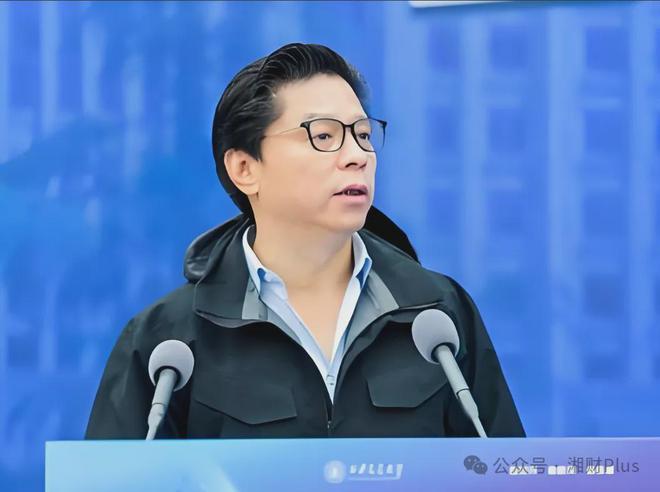 华润置地掌门人__华润集团首席执行官