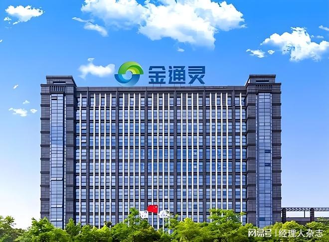 财务造假的上市公司处罚__上市公司涉嫌财务造假