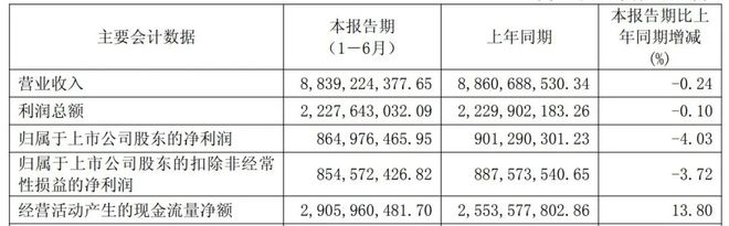 _佛山啤酒_佛山啤酒供应商