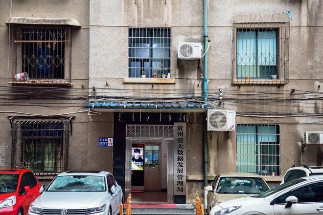 摇树钱应该怎么养__贵州农信摇钱树