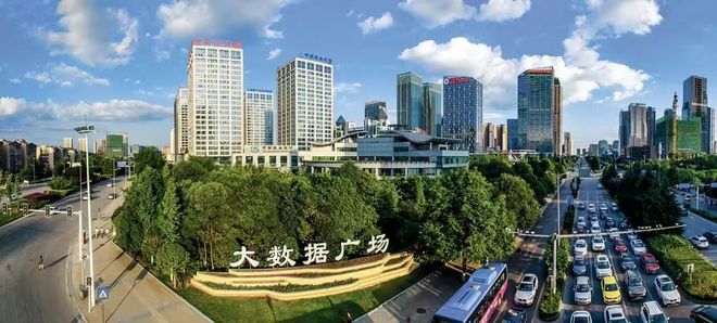 摇树钱应该怎么养__贵州农信摇钱树