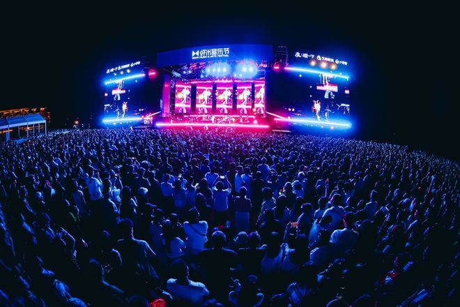 大麦娱乐，从一棵树到一片森林