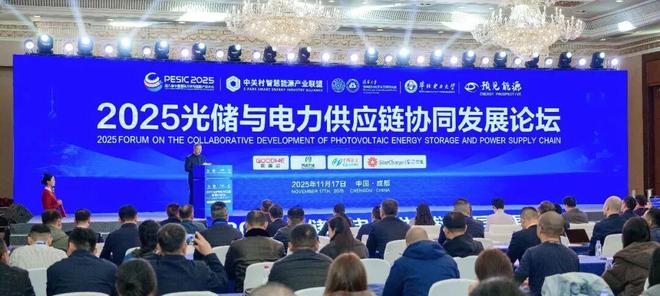 光伏行业储能行业前十大公司_光伏储能产业链_