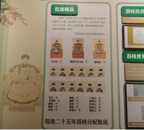 _外国人吃荔枝_老外在广州吃美食