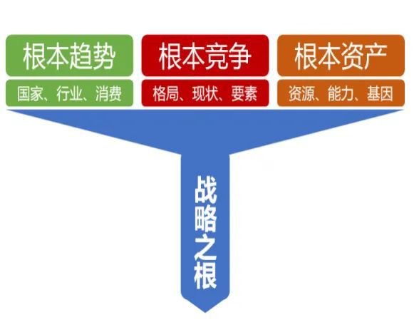 _娄向鹏：中国企业必须进入“有根有魂”的新时代_娄向鹏：中国企业必须进入“有根有魂”的新时代