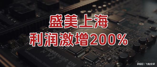 利润激增200%，盛美上海，闷声干大事！_利润激增200%，盛美上海，闷声干大事！_