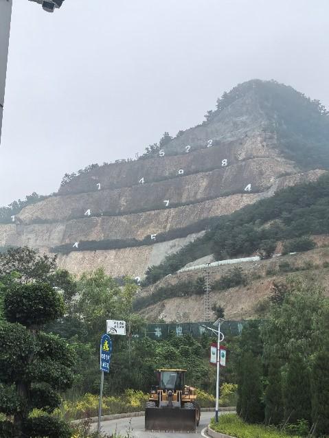 洛阳钼业主营业务_洛阳钼业业绩大全_