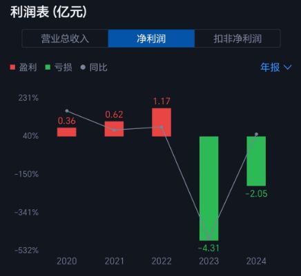 董秘开会“口无遮拦”，监管函来了