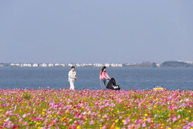 深圳飞福州机场要多久_国际航协全球航空股价将回弹_