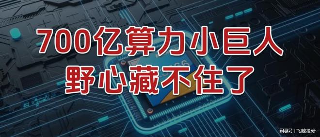 700亿算力小巨人，野心藏不住了！