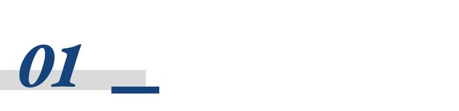 沈建光：中国投资并没有失速