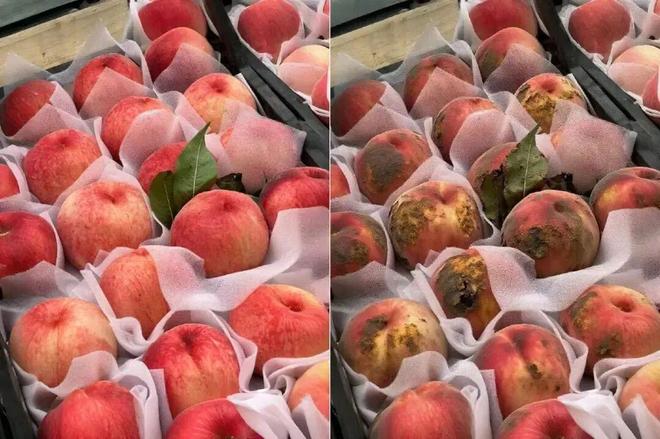 最脏的一幕,出现了!__女人脏不脏看这个地方