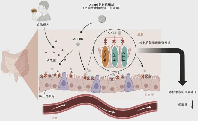 最大蓝海,肾脏病第一股亮相__最大蓝海,肾脏病第一股亮相