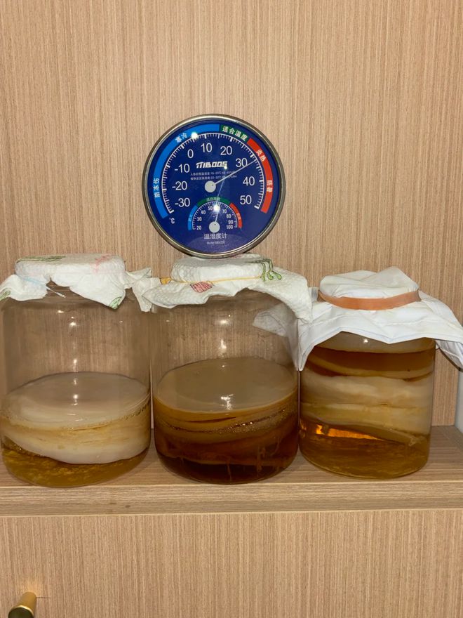 年轻人的新型领养：在超市捡海底小鼻嘎__年轻人的新型领养：在超市捡海底小鼻嘎