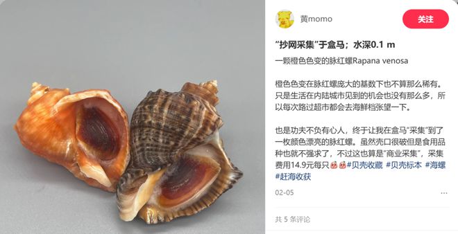 _年轻人的新型领养：在超市捡海底小鼻嘎_年轻人的新型领养：在超市捡海底小鼻嘎