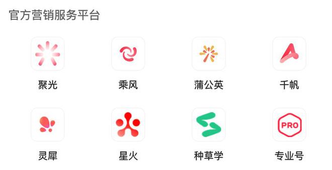 小红书最大的难题，是无法只靠自己赚到更多钱