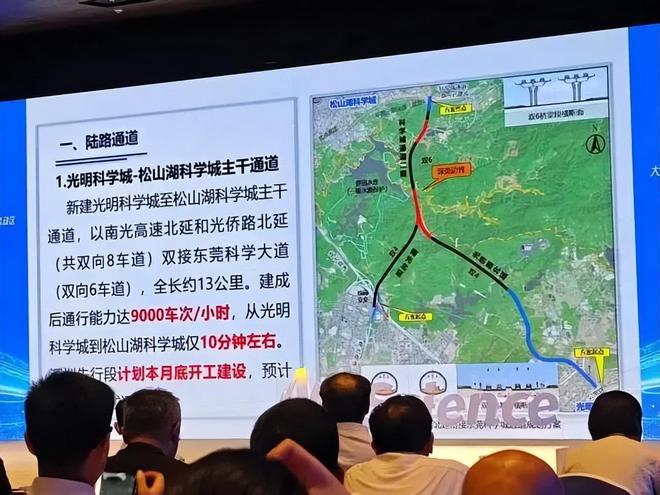 深圳东莞4大金牌打手_东莞深圳_