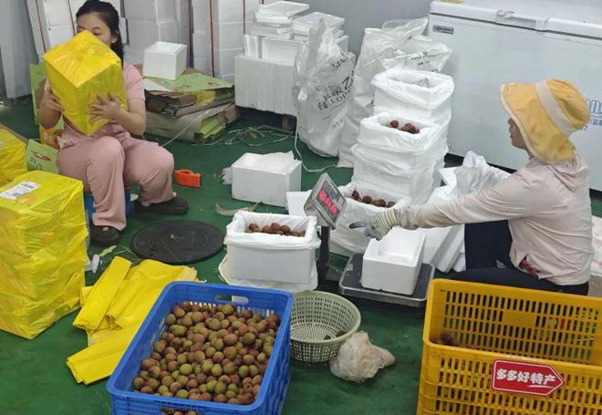 拼多多打通 “新荔枝道”，此去长安一马平川__拼多多打通 “新荔枝道”，此去长安一马平川