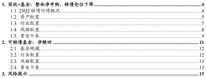 芦哲：25Q2固收+基金转债持仓十大亮点__芦哲：25Q2固收+基金转债持仓十大亮点