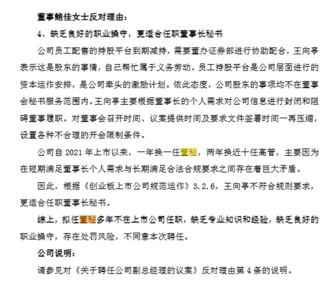 _前任董事长_董事表决票格式