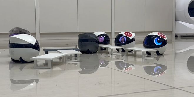 _操控老鼠的生活_亲前男友前男友不躲