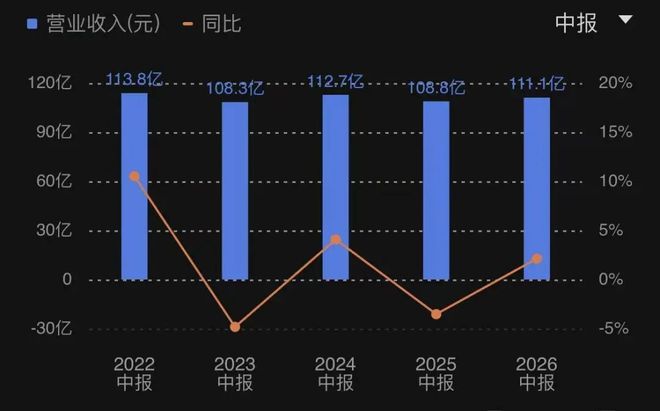旺旺个人简介__旺旺集团的飞机