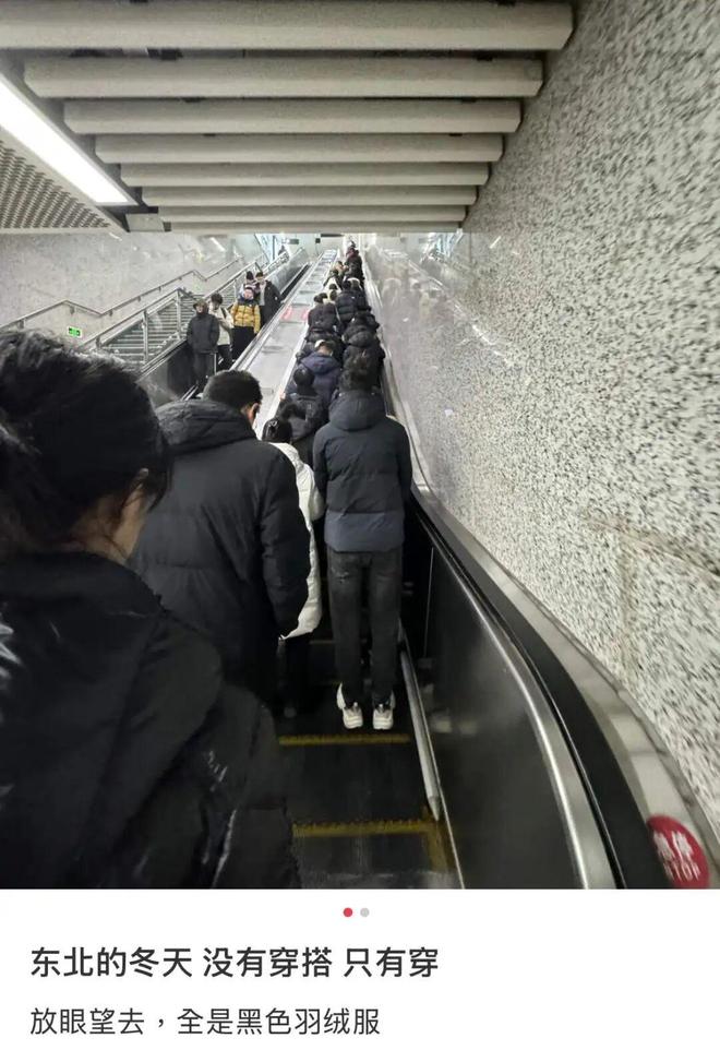 _杀疯了的迪桑特,统一东北大哥审美_杀疯了的迪桑特,统一东北大哥审美