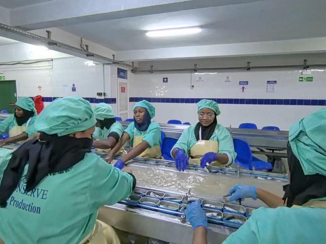 沙漠变海洋__沙漠与海洋交接的地方