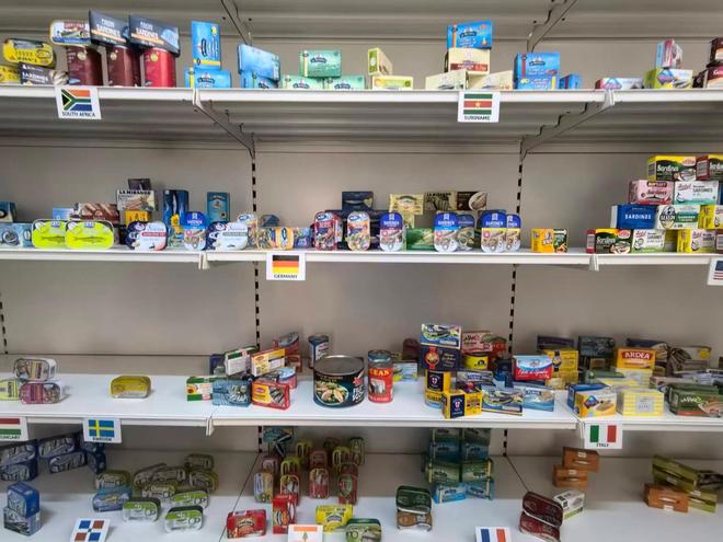 沙漠与海洋交接的地方_沙漠变海洋_