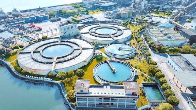 崛起的翅膀_电影隐形翅膀_