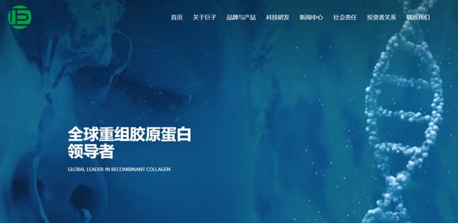 胶原蛋白研发_胶原组装_