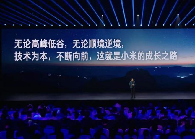 雷军概括选择项目的四个类型__雷军说的选择