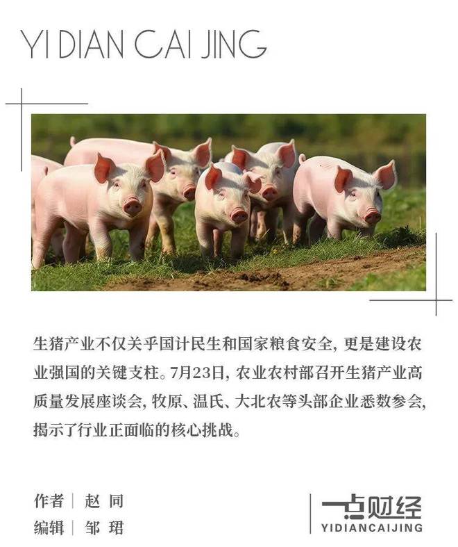 生猪产业新生态：结构调整与种养结合，筑牢农业强国根基_生猪产业新生态：结构调整与种养结合，筑牢农业强国根基_