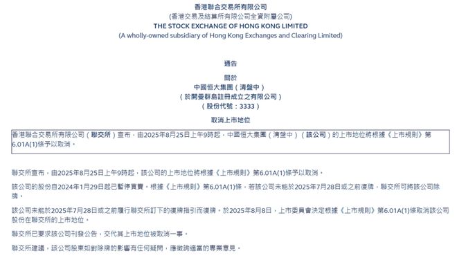 聚美优品上市到退市的发展__服装开发步作