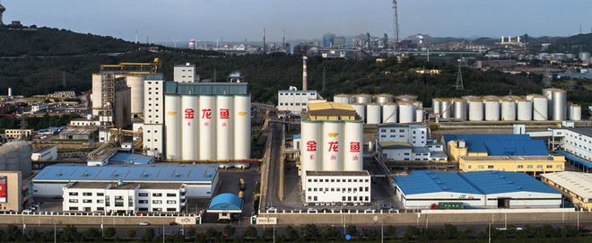 _股票遭剔除是好是坏_王健林卷入肖建华案