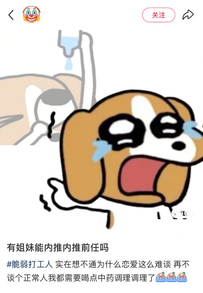前任谈恋爱__前任恋爱综艺