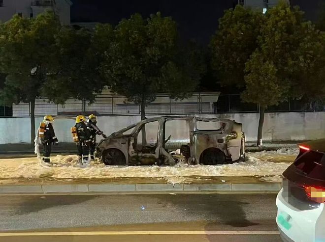 今年第三次！53万的理想MEGA烧了，奶爸：不敢想象__理想one奶爸