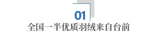 隐秘的羽绒帝国:河南小县,如何“捡”来了百亿生意?__隐秘的羽绒帝国:河南小县,如何“捡”来了百亿生意?