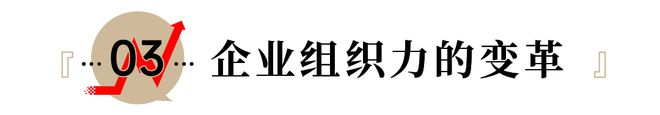 松鼠需要纸棉吗_松鼠撕卫生纸_