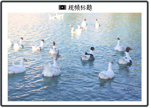 7月“关税大限”没了？美财长暗示或延至9月1日，特朗普称“可延长、也可缩短”