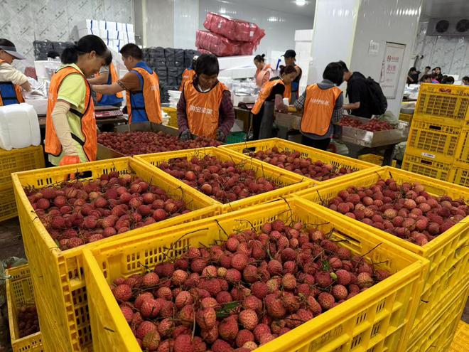 淘宝买菜半托管模式落地：弃自提转农场直发，超百产区抢滩5000亿生鲜赛道__淘宝买菜半托管模式落地：弃自提转农场直发，超百产区抢滩5000亿生鲜赛道