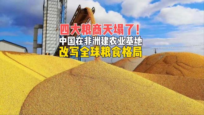 _粮食转化_粮食为主