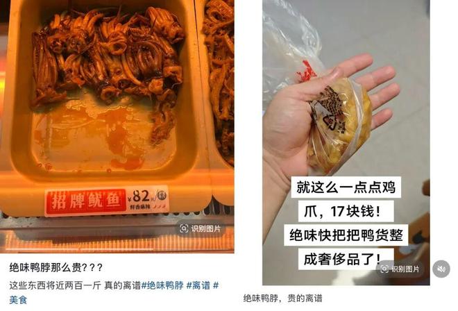 中国“鸭王”王华佗__隐瞒收入处理法规