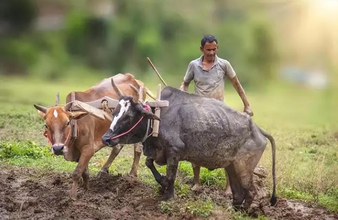 特朗普宣布2000亿关税_特朗普宣布提高关税税率_