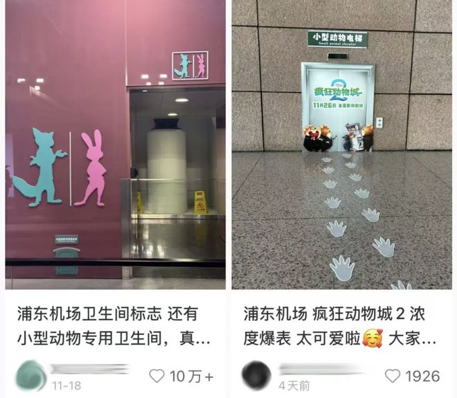 _代购和黄牛的区别_黄牛代购是什么意思