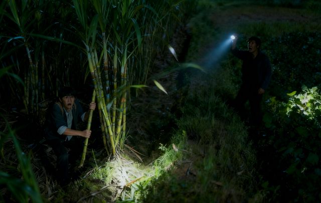 _疯狂农场小说_小说疯狂农场主