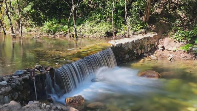 淘天实现增速逆转，闪购是未来关键